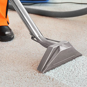 Carpet Cleaning